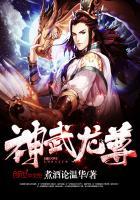 神武龙号多少钱
