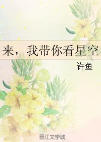 来我带你看星空txt