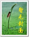 宠魅动漫免费高清观看