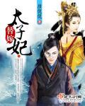 替嫁太子妃 作者乔燕