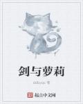 剑与少女武器炫