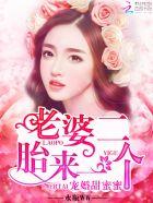 一胎二宝总裁宠妻