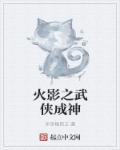 火影平民之忍界成神