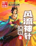 风流神风流记小峰峰