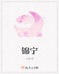 锦安名字的寓意是什么