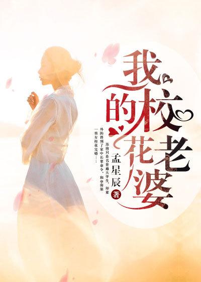 我的校花老婆几个老婆