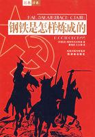 钢铁是怎样炼成的第二部第二章概括