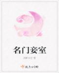 名门小妾