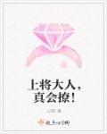 上将大人撩不得