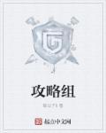 临崖攻略组