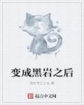 黑岩写的所有