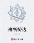 译制片魂断蓝桥彩色版