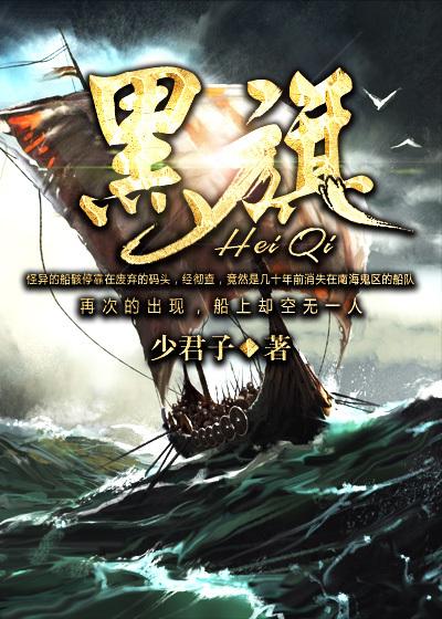 黑旗500参数