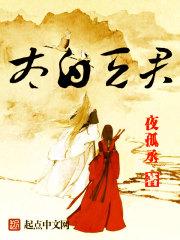 太白t2