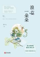 浪花一朵朵歌曲全部