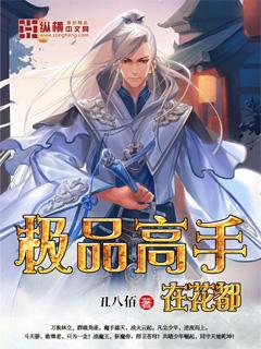 极品高手闯花都