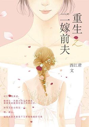 重生之二嫁前夫小叔