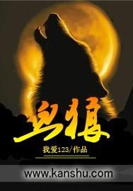 血狼王夜风武的免费阅读